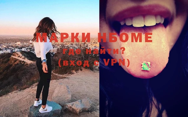 прущие грибы Россошь