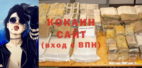 прущие грибы Россошь
