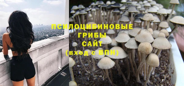 прущие грибы Россошь