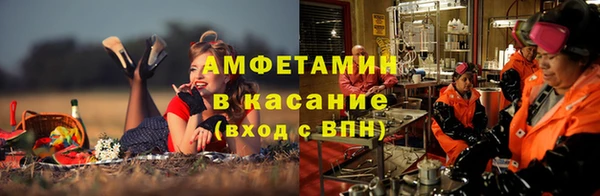 прущие грибы Россошь